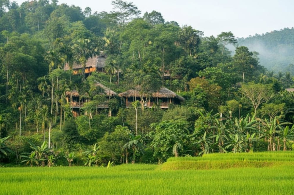 Góc trốn nắng lý tưởng, nơi thiên nhiên hoang sơ hòa cùng không khí trong lành mát mẻ.